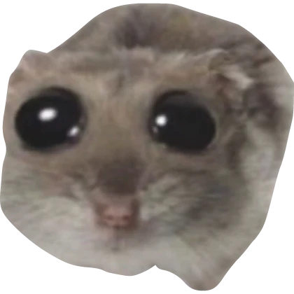 chomik